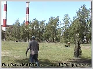 Rottweiler Rus Pekos MARTA